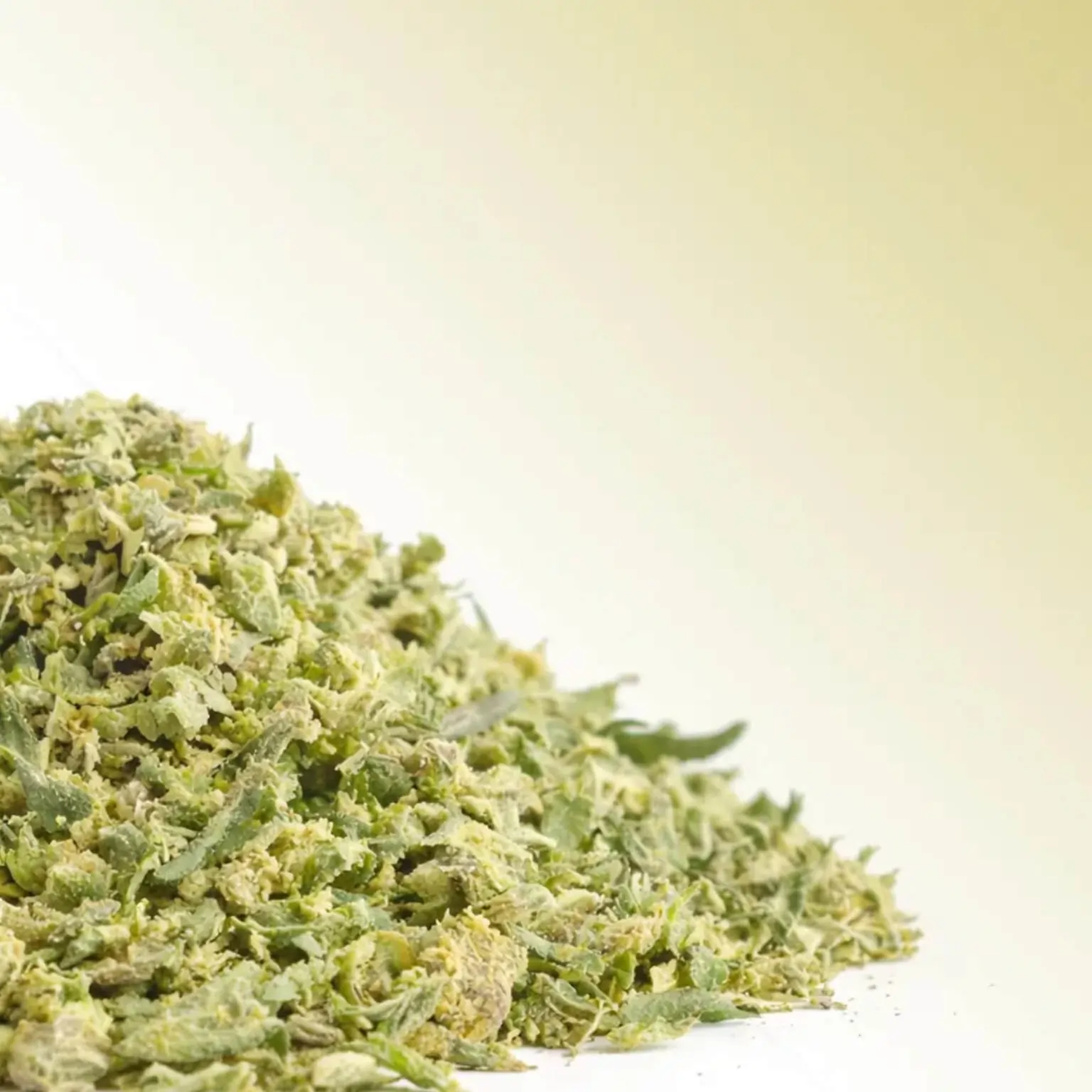 Zerkleinerte Wedding Cake CBD Blüten auf hellem Hintergrund